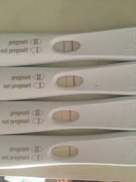 How you can get a false positive. Experiment Clever C Nt S Guide To Pregnancy Tests Uk Clever C Nt S
