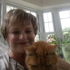 Parakeet care advice after sudden death