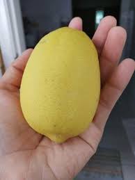 Minyak zaitun punya banyak khasiat bagi kulit. Wanita Ini Kongsi Khasiat Jus Lemon Panas Minum Waktu Perut Kosong Nak Hasil Luar Biasa Keluarga