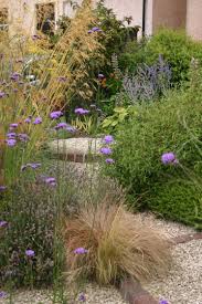 Login Garden Design Edinburgh Scotland Pebble Garden Gravel Garden Coastal Gardens