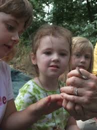 SFA Summer Day Camp to host 'Wonder Woods'