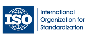 Serving as or conforming to an established or accepted measurement or. The Standard Standard C