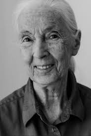 Border to Bayou: Learning Through Service