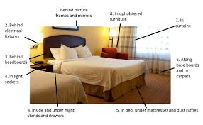 •), which are bed bug excrement and may bleed on the fabric like a marker would. How To Prevent A Bed Bug Infestation Nyc Long Island