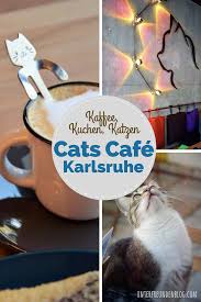 Mein Besuch Im Katzencafe Cats Cafe In Karlsruhe Tierisch Nett Und Zum Schnurren Lecker Cafe Kaffee Und Kuchen Karlsruhe