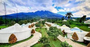 Robert carlton under the name of carlton dog & cat hospital. Best Price On The Highland Park Resort Bogor In Bogor Reviews