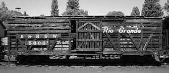 Image result for cattle cars