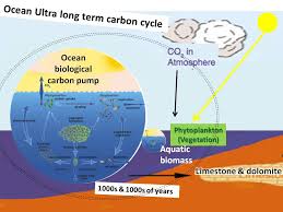 atmospheric carbon dioxide