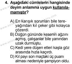 Aol Dil Ve Anlatim 2 Dersi 2014 2015 Yili 1 Donem Sinavi Aol Soru