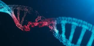 Get the hottest stocks to trade every day before the market opens 100% free. Curevac Continues Covid 19 Vaccine Funding Frenzy With 180m Ipo
