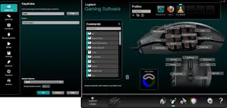 I had g hub installed since logitech gaming software kept saying its out of date and g hub would control all my devices. Logitech Gaming Software Spiele Hardware Individuell Einrichten Download