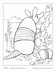 What fun facts do you know about armadillos? Armadillo Worksheet Education Com