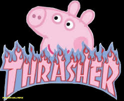 Thrasher Aesthetic Wallpapers Wallpaper Cave Blue flower, macro, vivid, close up, dew drops, droplets. thrasher aesthetic wallpapers