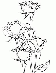 Dibujos de rosas para colorear. Imagenes De Ramos De Rosas Para Dibujar Novocom Top
