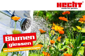 Ob sie ein fensterbrett schmücken oder eine leere zimmerecke beleben, blumen sind die dekoration schlechthin. Blumen Giessen Im Sommer Was Sie In Der Heissen Jahreszeit Unbedingt Beachten Mussen Hecht Garten