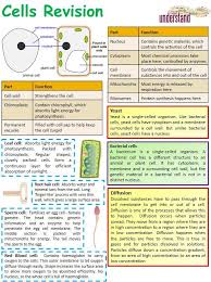 David Chalk Teacherchalky1 Twitter Gcse Biology Revision Gcse Science Biology Lessons