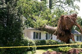 Ein sturm kann die unterschiedlichsten schäden verursachen. Sturmschaden Durch Baum Vom Nachbarn Versicherung