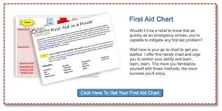 First Aid For Spills And Thrills Homeopathy Homeopathic
