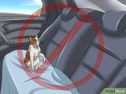 The easiest way to transport a cat in your car is by using a travel carrier. 4 Ways To Transport A Cat Safely Wikihow Pet