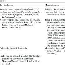 Pelajar, cinta, nafsu dan sex. Pdf The Taxonomic Status Distribution And Conservation Of The Lowland Anoa Bubalus Depressicornis And Mountain Anoa Bubalus Quarlesi
