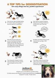 Puppy Dog Obedience Training With Positive Reinforcement 5400791069 Dogobediencetraining Smartestdogs Trainingbit Dog Training Puppy Training Puppy Classes