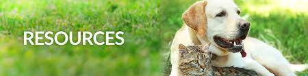 In home euthanasia learn more about the process of in home euthanasia for your terminally ill or elderly pet by a mobile veterinarian. At Home Pet Euthanasia Resources Ever Animal Care At Home Pet Euthanasia And Aftercare