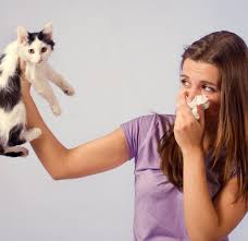 Jika ada bau kencing kucing di rumah anda maka hal pertama yang perlu anda lakukan adalah mencari tahu dari mana asalnya. 9 Cara Untuk Menghilangkan Bau Kencing Kucing Di Sebuah Apartmen