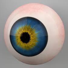 Human Eye 3d Model Human Eye Infographic Design Process 3d Model