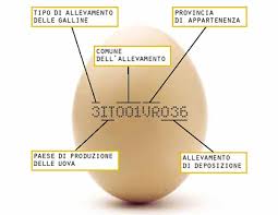> 1.che cosa sono le uova > 2.valori nutrizionali delle uova > 3.come riconoscere le uova fresche > 4.curiosità sulle uova. Come Capire Se Un Uovo E Ancora Buono Ecco Tutti I Trucchi