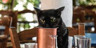 Symptome Auch Ohne Alkohol Der Nuchterne Kater Taz De