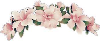 Open Full Size Flowercrown Snapchatfilter Girl Pink Flower Crown Png Snapchat Download Transparent Png Image And Sh In 2021 Crown Png Pink Flower Crown Flower Crown