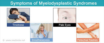 Myelodysplastic Syndrome Types Causes Symptoms Diagnosis Treatment Prognosis