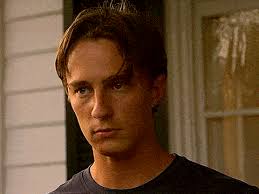 Sun Bleached Flies ✸ stranger things