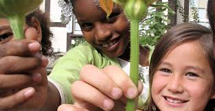 Climate Communications and Behavior Change