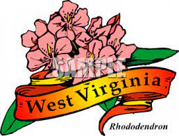 The people of west virginia are big fans of the rhododendron. Clipart Picture Of West Virginia S State Flower