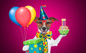 Esti o sefa tare iubita! 150 Felicitari Haioase De La Multi Ani De Zi De Nastere Pentru Facebook