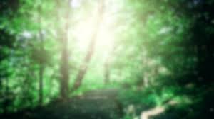 Find and save images from the gif ~ nature collection by halina sheena (shestereo) on we heart it, your everyday app to get lost in what you love. Nature Background Gif Stock Video Footage 4k And Hd Video Clips Shutterstock