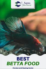 Best Betta Fish Food Healthy Colorful Betta Aqua Movement In 2020 Betta Fish Betta Food Betta Fish Types