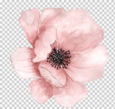 Pin By Oriana Arrieche On Screenshots Flower Png Images Free Watercolor Flowers Watercolor Flowers Paintings