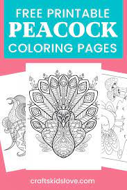Peacock coloring pages for kids with color. Free Printable Peacock Coloring Pages Crafts Kids Love