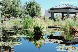 Save up to 40% with citypass®. A Local S Guide To Visiting The Denver Botanic Gardens In 2021