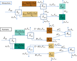 Virus genes are not 'set' as they are for life forms like humans. Modelling And Analyzing Virus Mutation Dynamics Of Chikungunya Outbreaks Scientific Reports X Mol