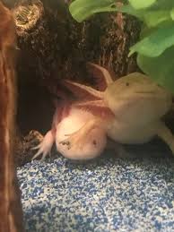 I just thought this was so cute and I know there's gotta be some good  captions for it. Anyone have some suggestions?