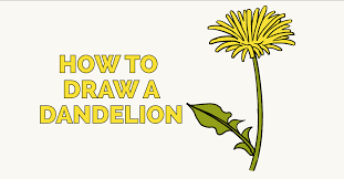 Sign up to learn how to draw animals, flowers, fruits and much more! How To Draw A Dandelion Really Easy Drawing Tutorial