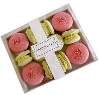 Elegant, Minimalist Macaron Packaging with Base, Insert, Clear Lid and  Embossed Ribbon Band (20-pack)