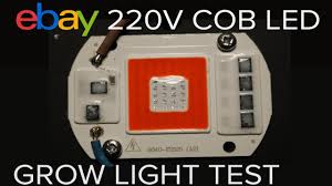 Check spelling or type a new query. Ebay Mains Cob Led Grow Light Test Youtube