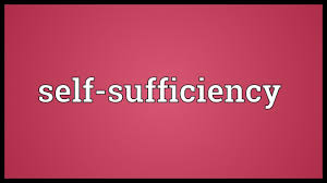 نتیجه جستجوی لغت [sufficiency] در گوگل