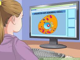 Check spelling or type a new query. How To Make An Animal Cell For A Science Project Artofit
