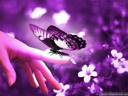 Brown and black butterfly flying above beautiful flowers. This Is Very Beautiful Like If You Think So Most Beautiful Butterfly Butterfly Images Beautiful Butterflies