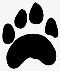 All tiger paw clip art are png format and transparent background. Free Tiger Paw Print Clip Art With No Background Clipartkey